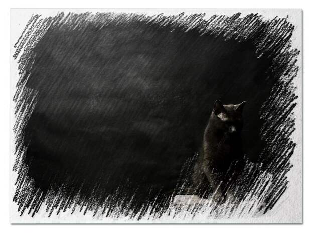 Ищите черную кошку в темной комнате с закрытыми глазами. Моя обработка фото из открытых источников