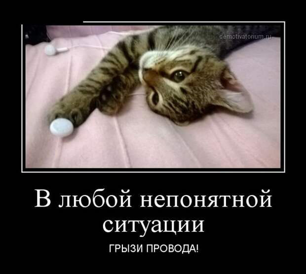 Демотиваторы (30 фото) Демотиваторы (30 фото)