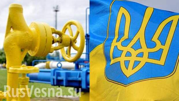 Газа много, но вы держитесь: во что обойдётся Украине отказ от российского топлива | Русская весна