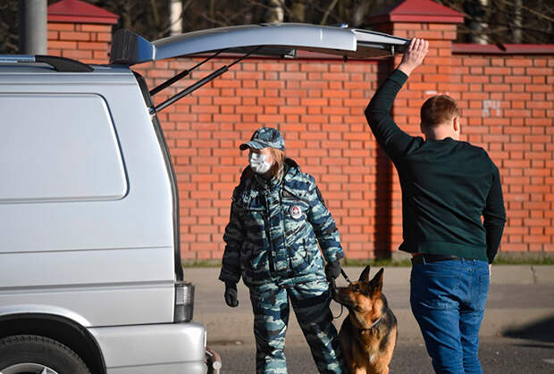 «Почувствуют безнаказанность и вседозволенность»