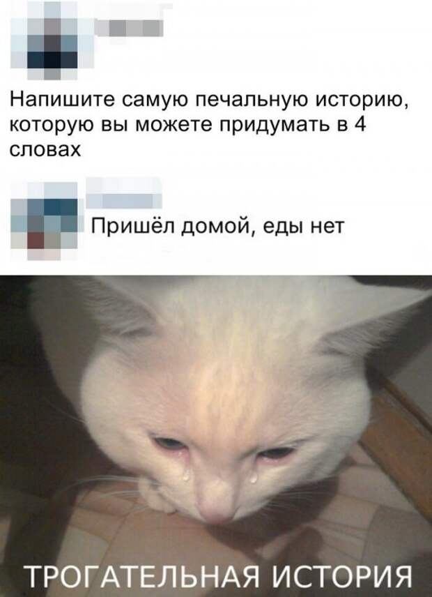 Скрины из социальных сетей
