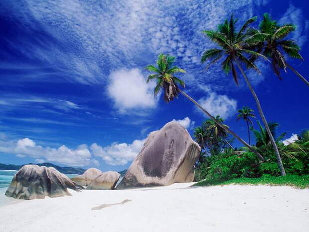 White_Sandy_Beach_Seychelles (700x525, 116Kb)