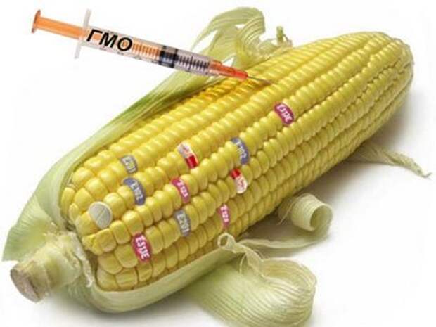 Как определить ГМО. Ирина Ермакова