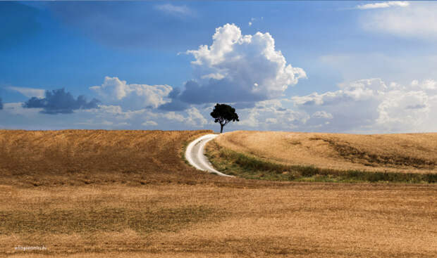 A Lonely Tree by Elio Giannicchi on 500px.com