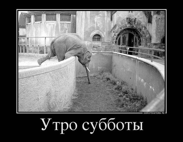 Демотиваторы и мотиваторы. Демотиваторы и веселые картинки_22-01-2013
