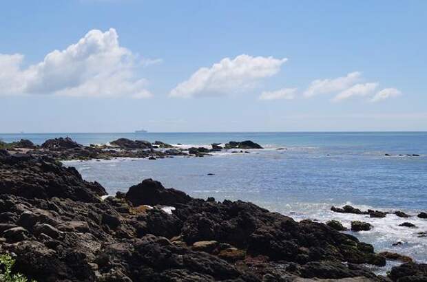 Более 500 тонн нефти собрали на пляжах в Бразилии