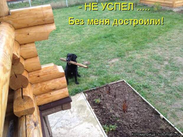 Лучшие котоматрицы недели (50 фото) Лучшие котоматрицы недели (50 фото)