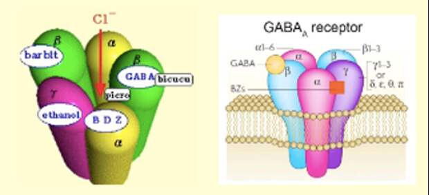 Химическая структура ГАМК-А рецептора