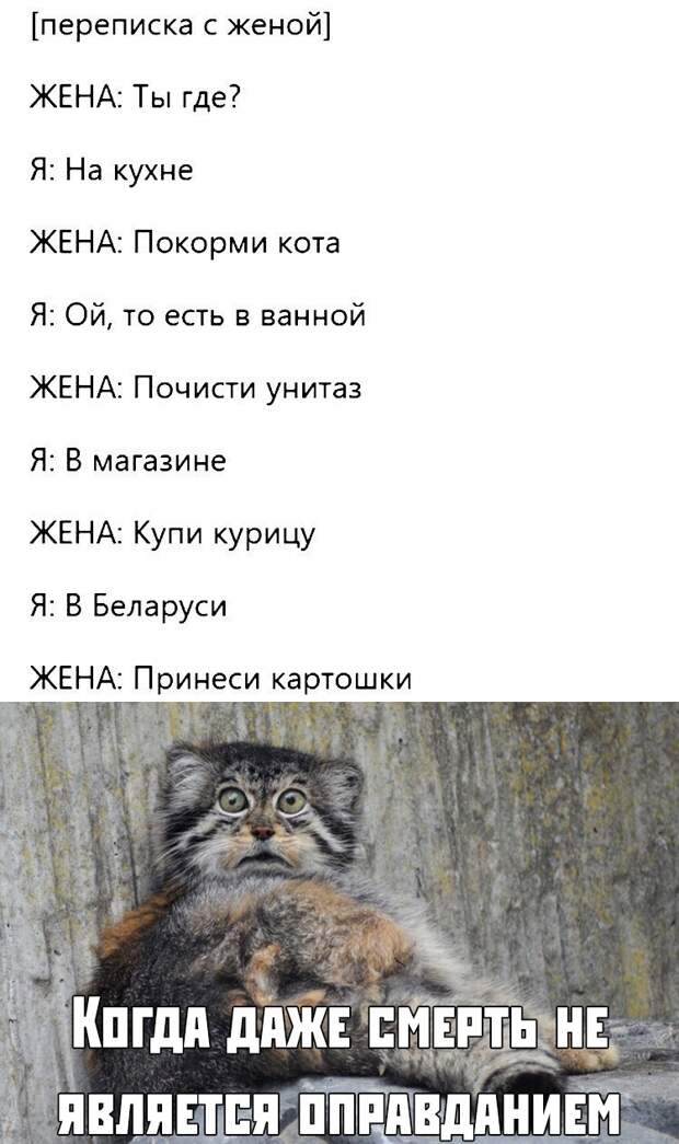 www.vsyako.net