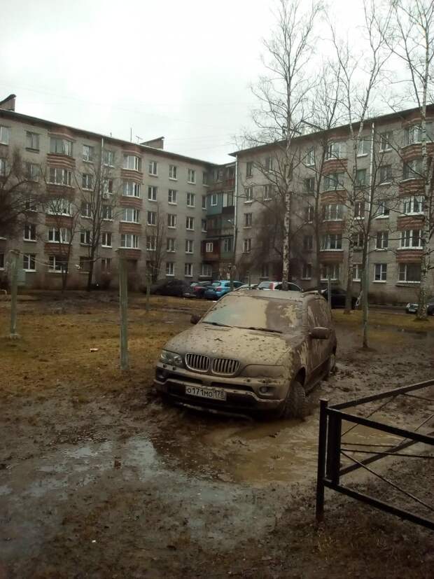 В Петергофе водитель BMW заехал на газон и застрял