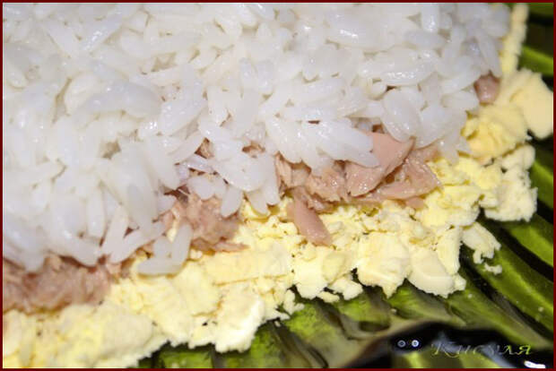 салат Бангладеш