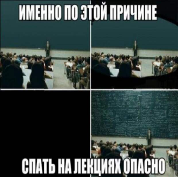 Приколы про студентов: ах, эти золотые годы!