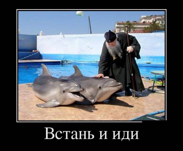 Демотиваторы (30 фото) Демотиваторы (30 фото)