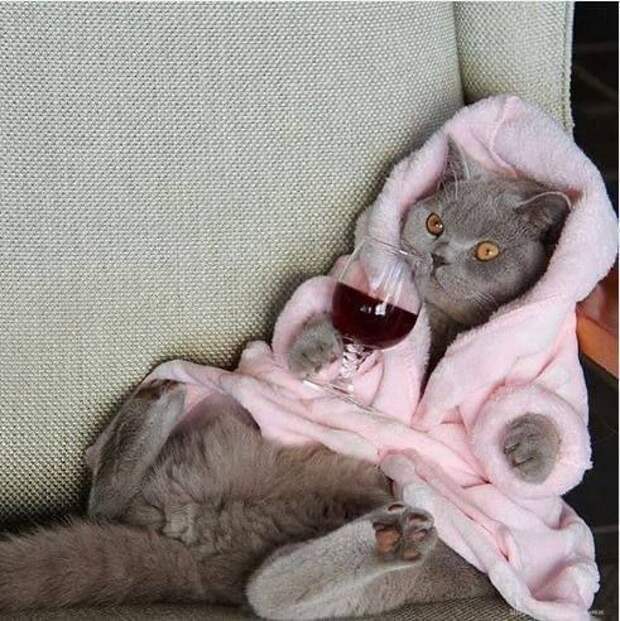 А вы как проводите воскресенье? https://t.me/webmoney_dn/313511