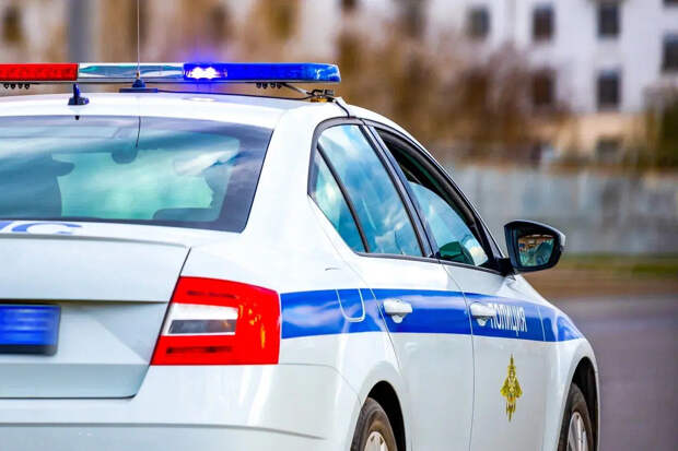 Виновник — попугай: впервые жителя Петербурга лишили прав из-за хрустящего снека