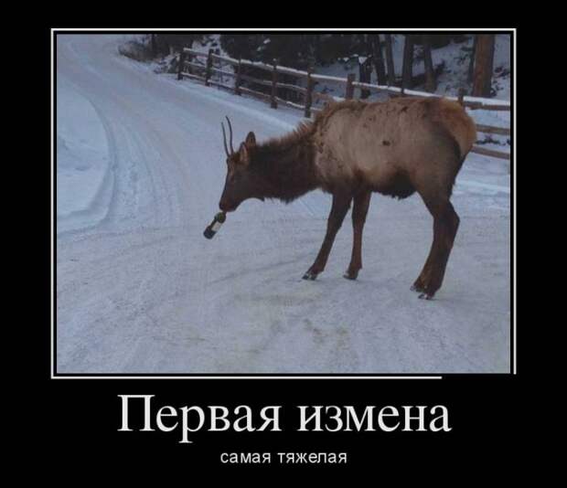 Демотиваторы (30 фото)