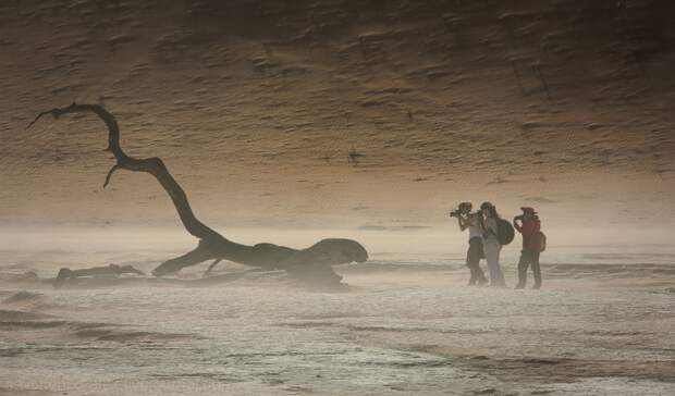 Африка. Намибия. Пустыня Намиб Соссусфлей Sossusvlei04 Африка. Намибия. Пустыня Намиб Соссусфлей