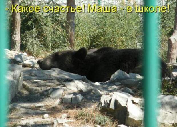 Продолжаем подготовку к Новому Году.