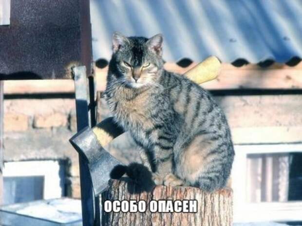 Приколы и приколихи.
