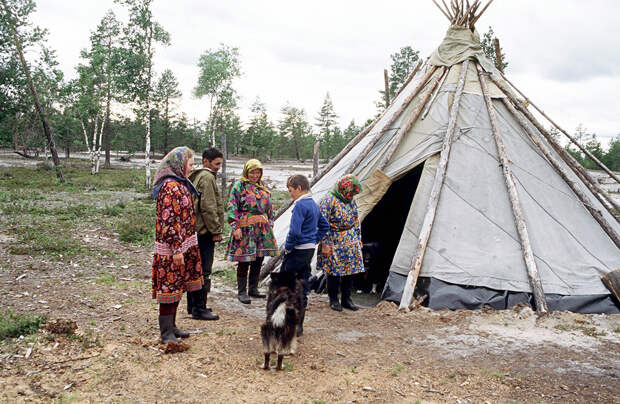 Сколько стоит построить чум оленевода?