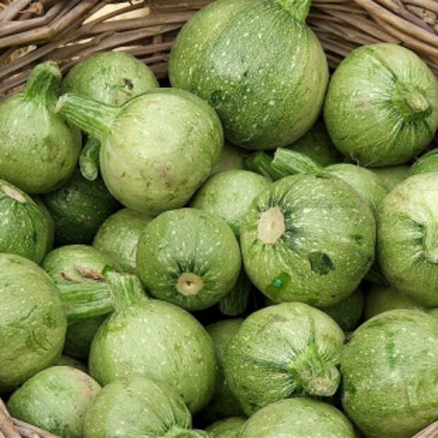 Рондини