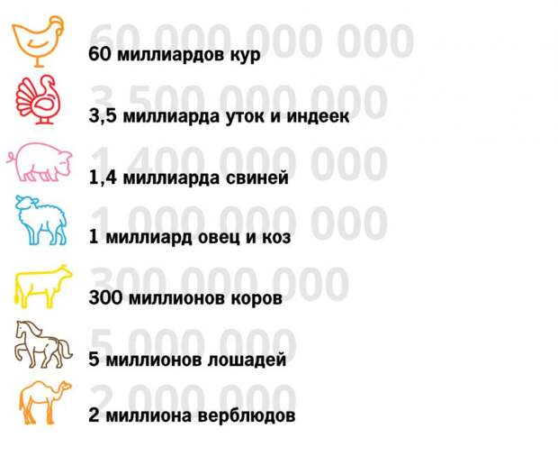 Сколько живности надо, чтобы прокормить человечество в течение года