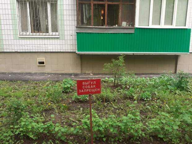 Фото предоставлено управой района Восточное Дегунино