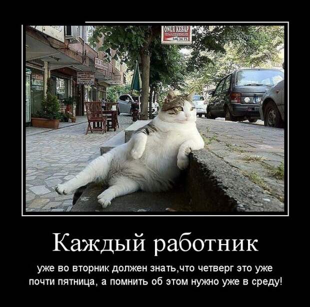 Демотиваторы демотиваторы, юмор