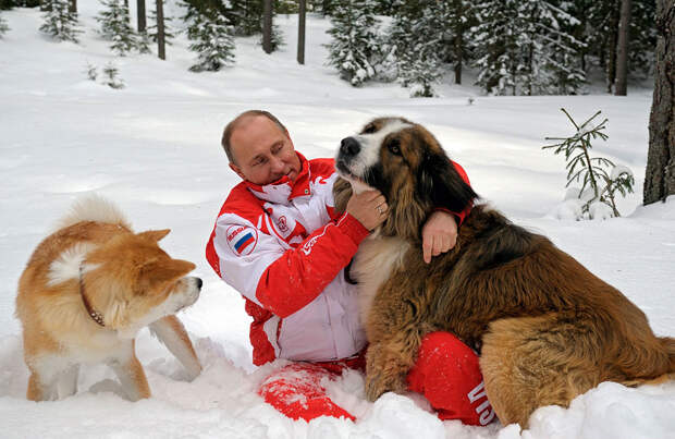 Картинки по запросу картинка Путина