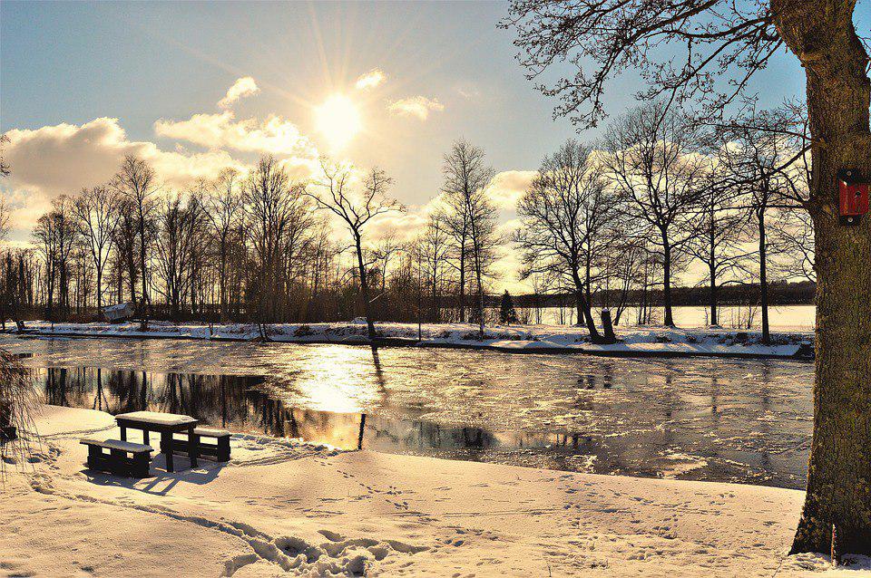 Водоем. Фото: открытый источник
