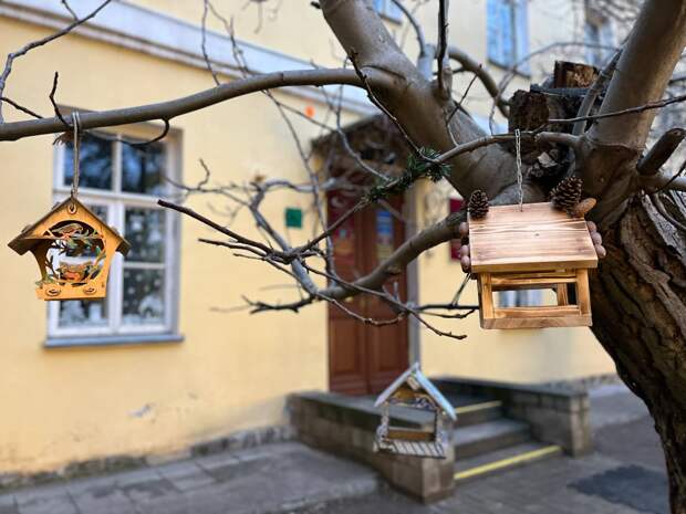 В воскресенье в Астраханской области будет моросить