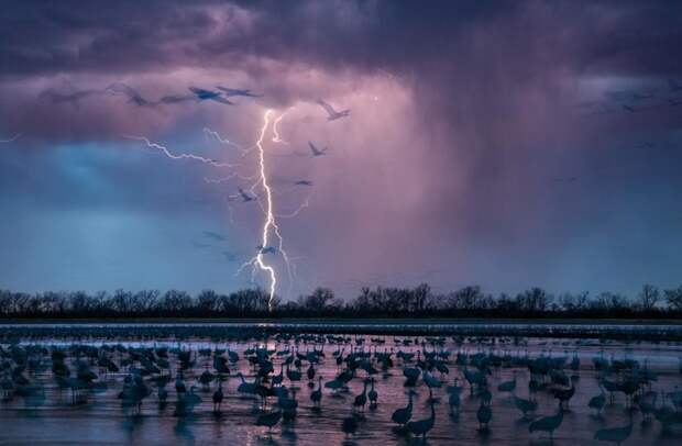 Журнал National Geographic опубликовал фотографии лауреатов премии "Лучшая фотография года - 2016" national geographic, природа, путешествия, фотография