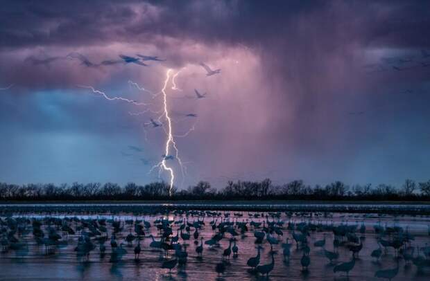 Журнал National Geographic опубликовал фотографии лауреатов премии "Лучшая фотография года - 2016" national geographic, природа, путешествия, фотография