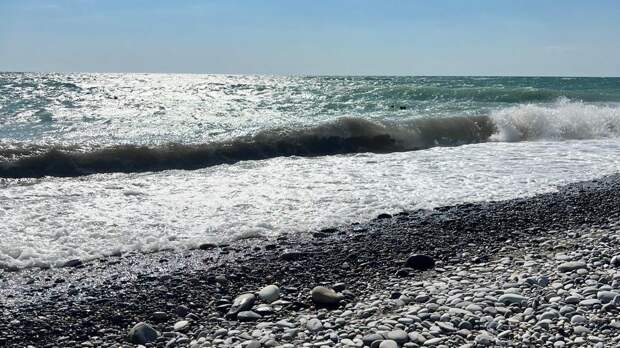 В Сочи открылись 170 пляжей – пользователи активно обсуждают новые цены на лежаки