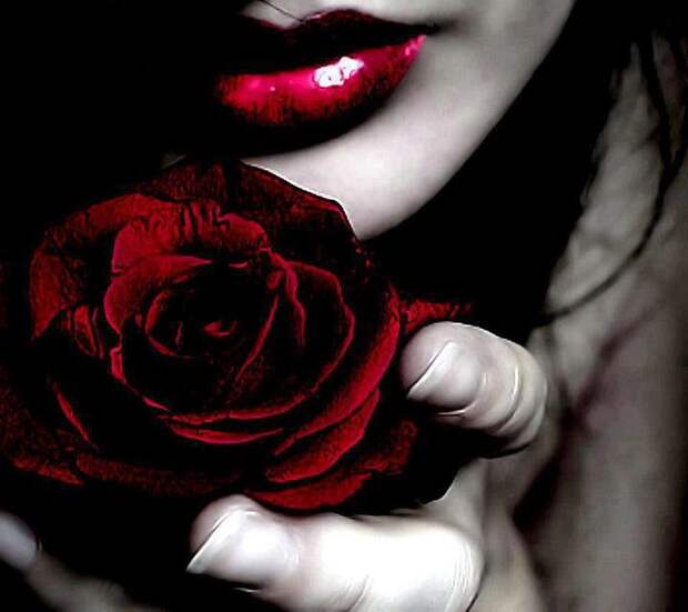 http://foto.infan.ru/img/f/76/5/530397_446757872055511_831217306_n.jpg