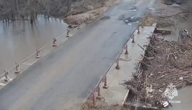 Подтопления отступают: в Тульской области первый мост вышел из-под воды