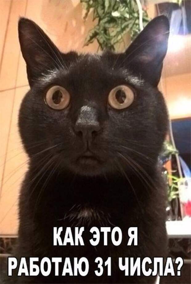 Картинки
