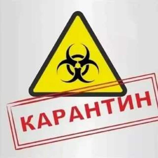 Предупреждающие таблички по коронавирусу. Подборкаchert-poberi-tablichki-koronavirus-14350504012021-13 картинка chert-poberi-tablichki-koronavirus-14350504012021-13