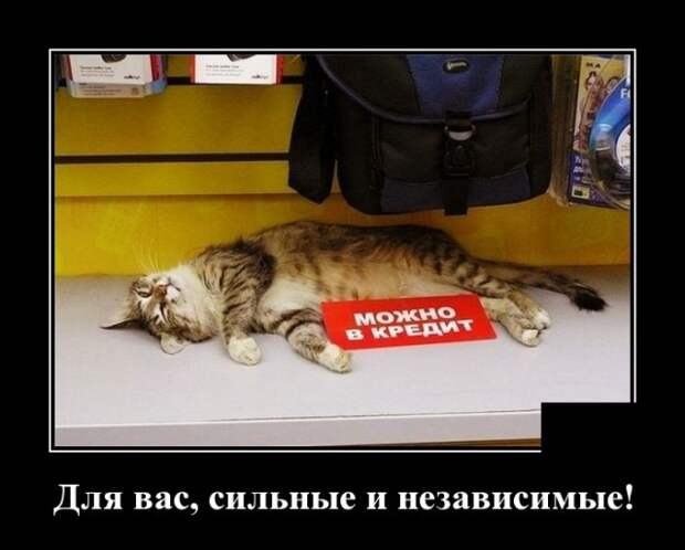 www.vsyako.net