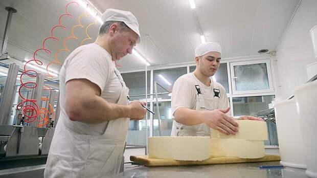 В России выросло производство молочной продукции за счет сыра и творога