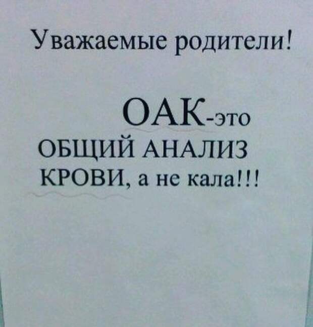 20 шедевров стенонаписания и столбообклеивания в виде самых неоднозначных объявлений