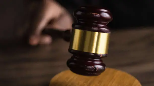 Уволивший Райкина ректор Полянкин отправлен судом под домашний арест