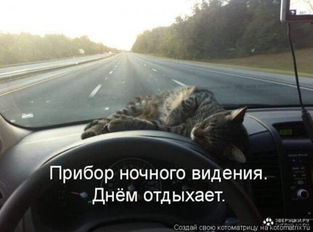Лучшие котоматрицы недели, 35 шт.