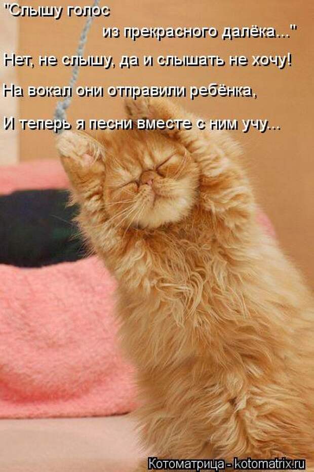 Новые котоматрицы с классным задором (30 фото) Новые котоматрицы с классным задором (30 фото)