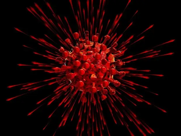 ЮАР охватил новый вариант коронавируса Omicron