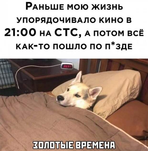 Картинки и мемы для настроения