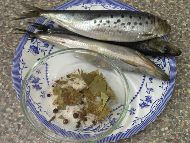 Сельдь Иваси еда, рыба, сделай сам, факты