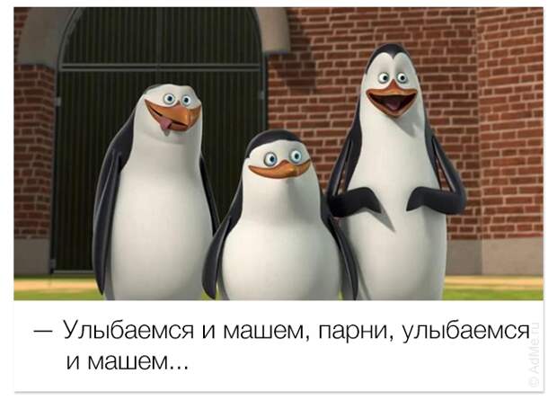 смешные цитаты из мультфильмов, фразы мультфильмы