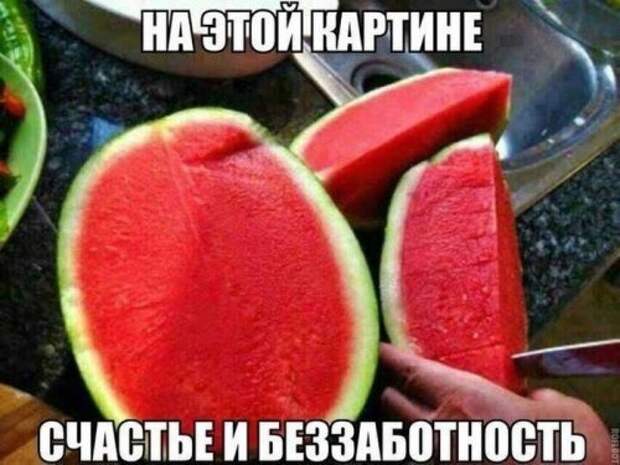 Забавные фотомемы (24 шт)