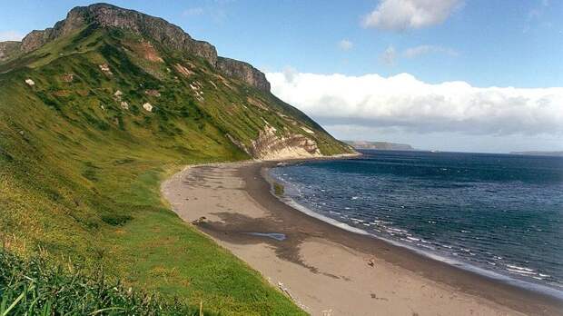 Односторонней выгоде конец: почему Россия приостановила соглашение о морском промысле с Японией